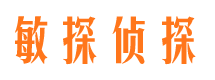 兴业市私家侦探